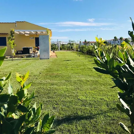 Maison Chopin & Brahms Haus Lejlighed Vieste