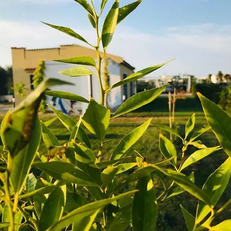 Apartment Maison Chopin & Brahms Haus *