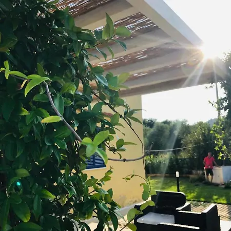 Lejlighed Maison Chopin & Brahms Haus Vieste