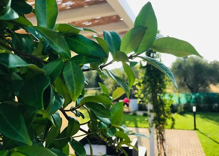 Maison Chopin & Brahms Haus *