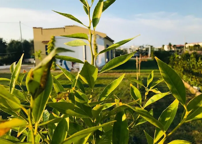 Апартаменты Maison Chopin & Brahms Haus *